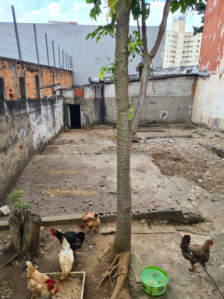 Terreno em ótima localização – Vila Alexandria