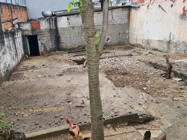 Terreno em ótima localização – Vila Alexandria