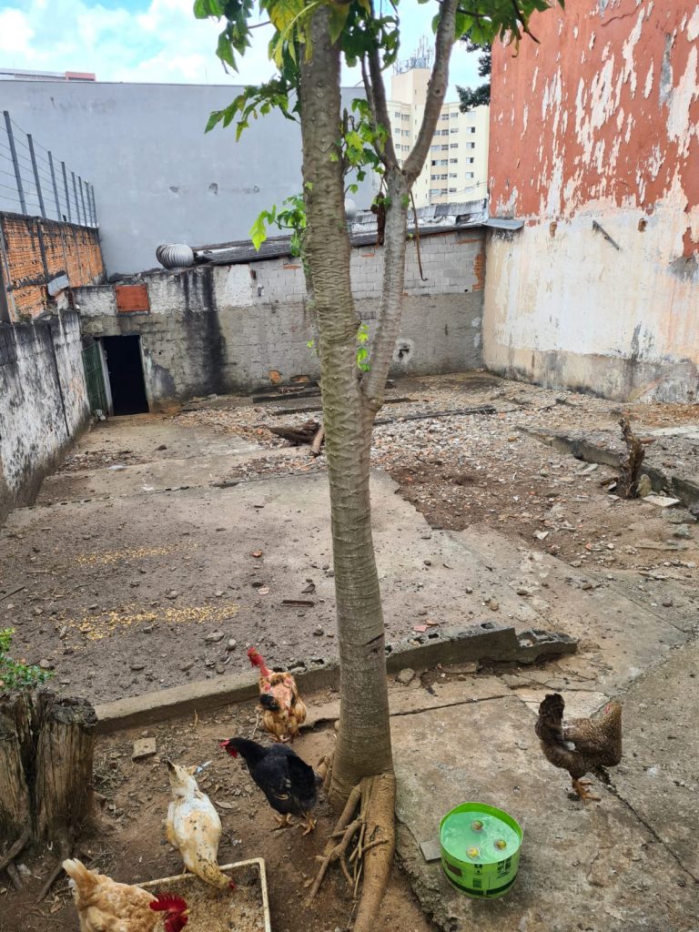 Terreno em ótima localização – Vila Alexandria