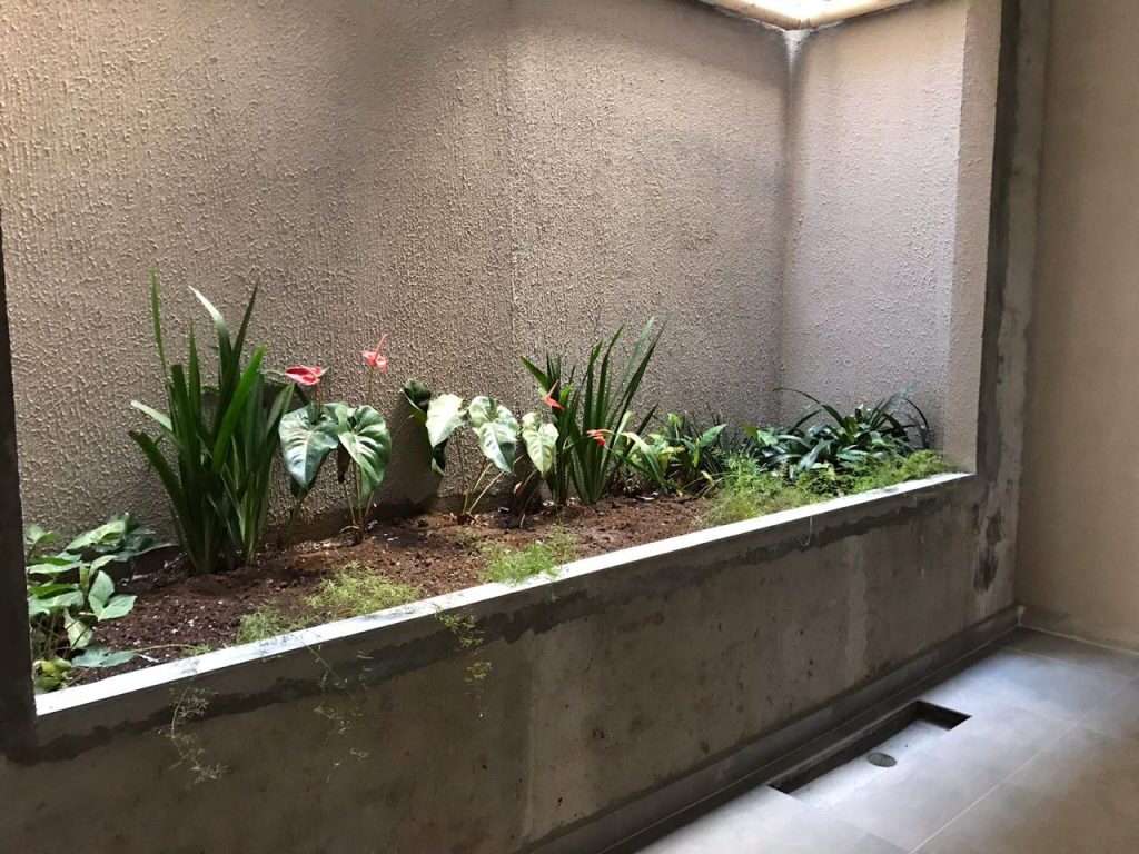 Charmoso apartamento – Campo Grande